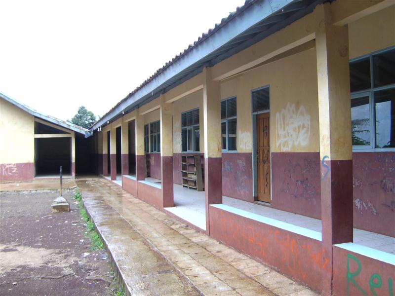 SDN PADAULUN