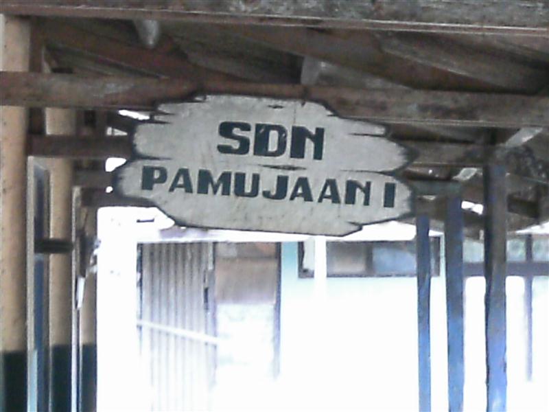 SDN PAMUJAAN 01