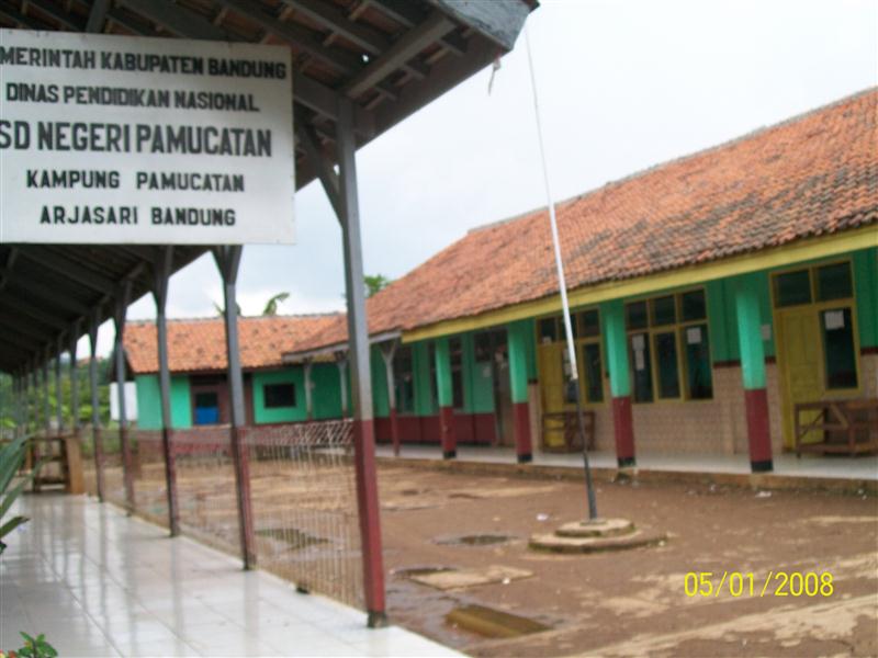 SDN PAMUCATAN
