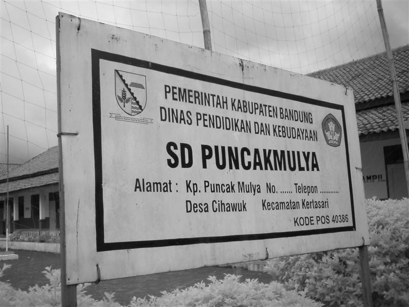 SDN PUNCAKMULYA