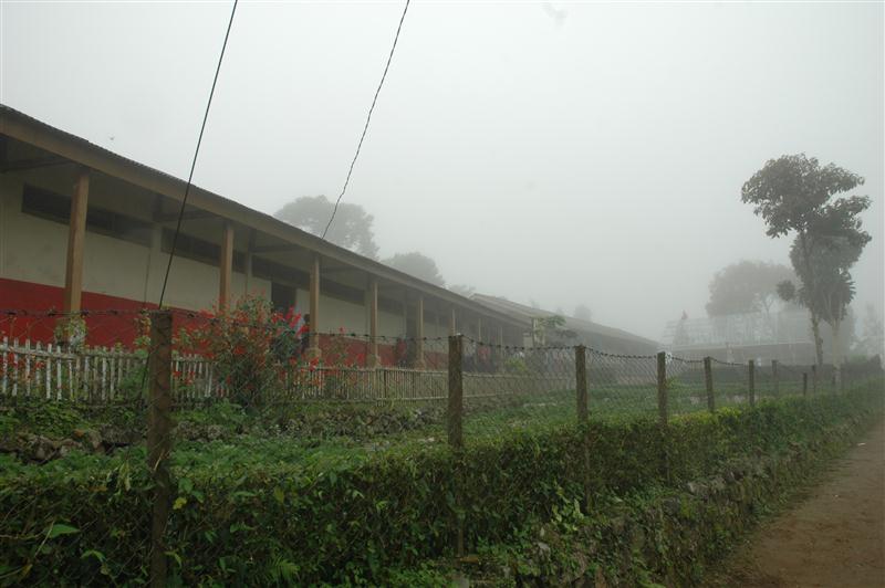 SDN SUKAMANAH