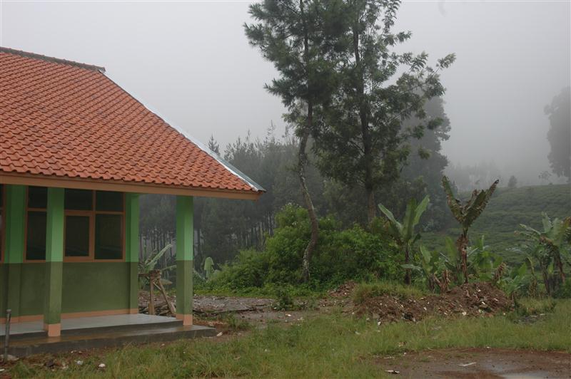SDN GAMBUNG