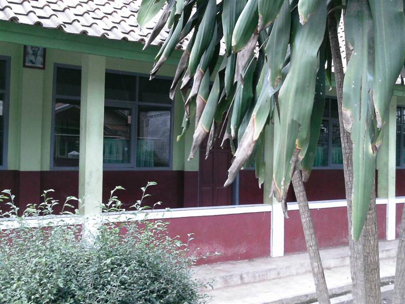 SDN CISOGA 01