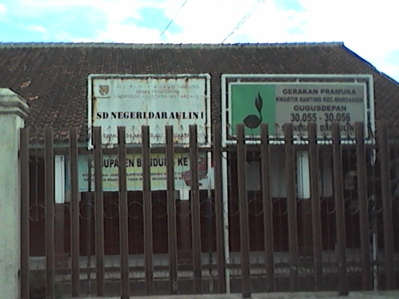 SDN DARAULIN 01