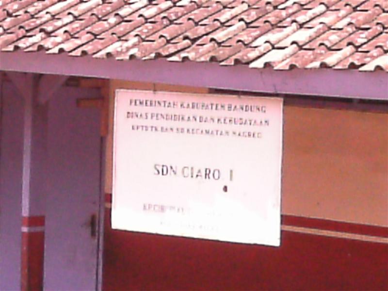 SDN CIARO 01