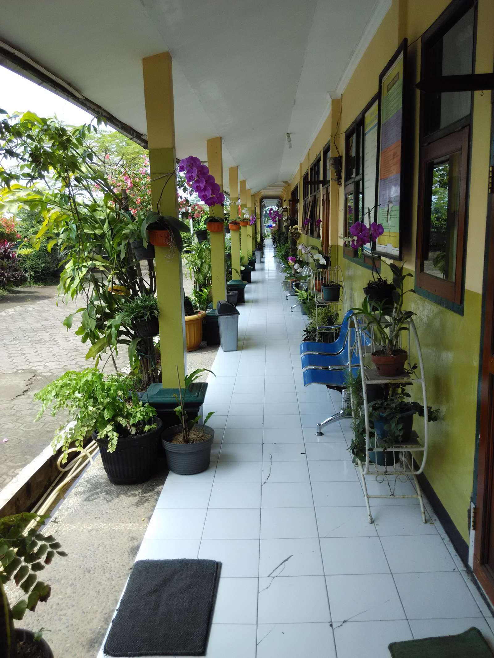 Foto Sekolah