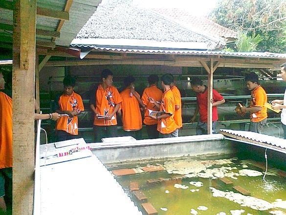 Pkbm Halim