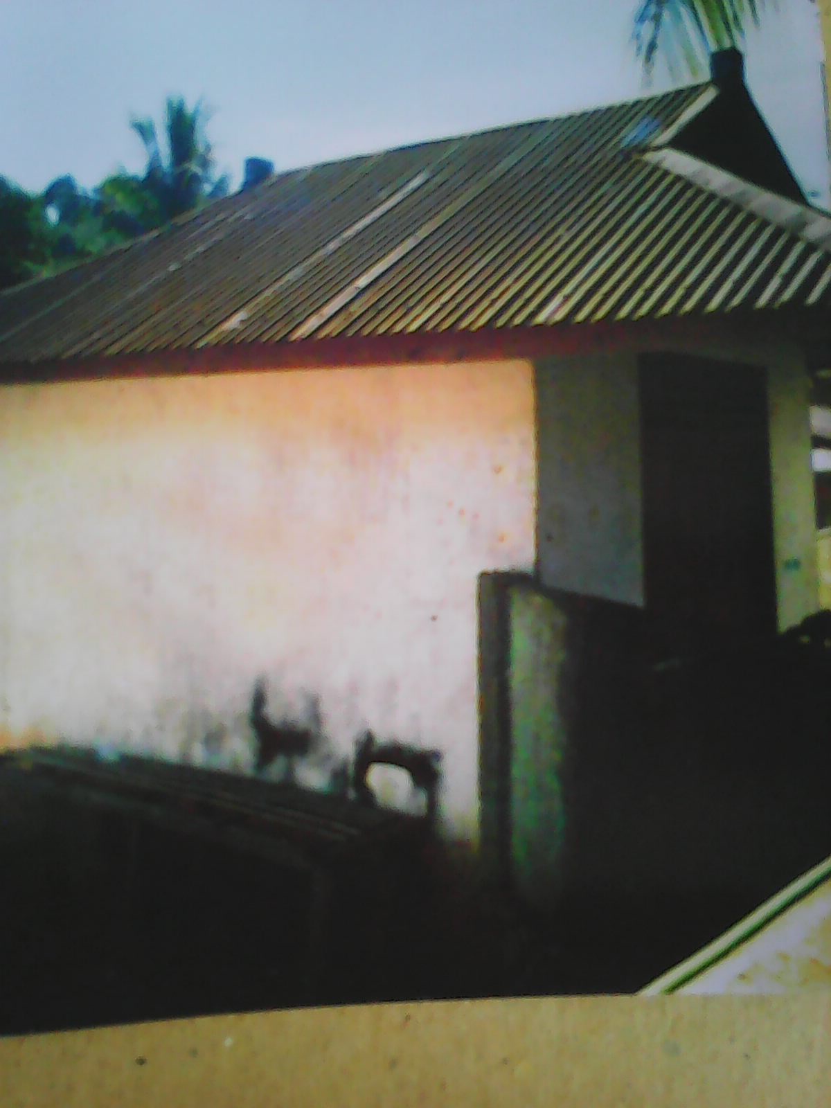 Pkbm Darma Mulya