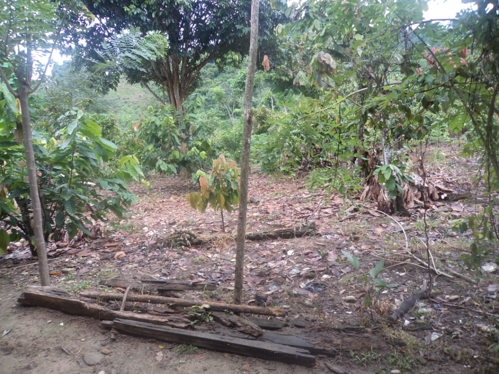 Pkbm Bulu Deceng