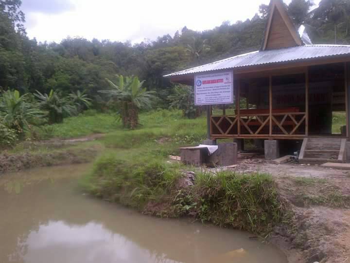 Pkbm Karya Anak Bangsa Institute