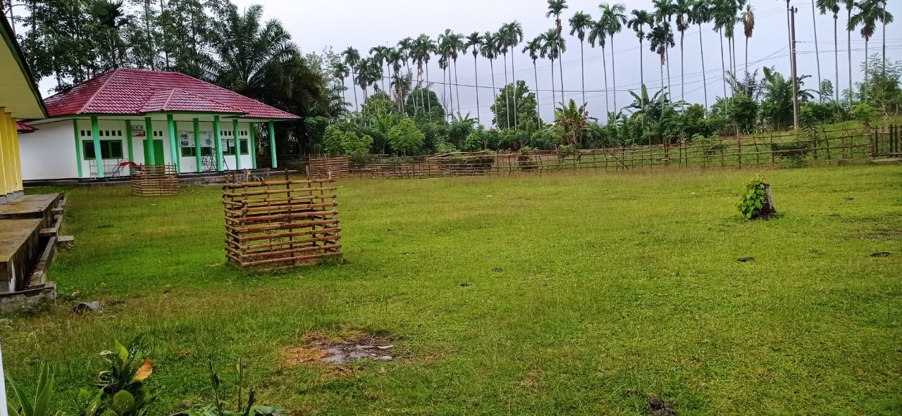 Spnf Skb Kabupaten Kaur